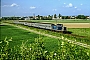 Deutz 57756 - DB "212 356-0"
27.05.1993
Münster (bei Dieburg) [D]
Kurt Sattig