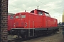 Deutz 57758 - DB Cargo "212 358-6"
01.09.2002
Gießen, Bahnbetriebswerk [D]
Marvin Fries