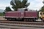 MaK 1000365 - Terna "212 318-0"
14.05.2022
Tithorea [GR]
Frank Weimer